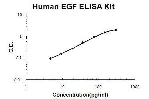 Human EGF PicoKine ELISA Kit standard curve (EGF ELISA Kit)