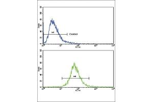 Flow Cytometry (FACS) image for anti-Amine Oxidase, Copper Containing 3 (Vascular Adhesion Protein 1) (AOC3) antibody (ABIN3003794) (AOC3 antibody)