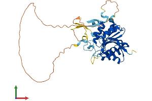 AlphaFold protein structure predicition of Human Recombinant METTL18 Protein, UniprotID O95568 (METTL18 Protein (AA 1-372) (His tag))