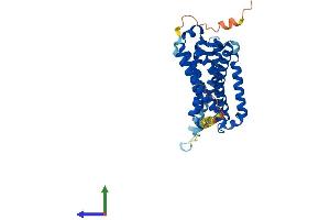 Protein Structure (PS) image for Melatonin Receptor 1A (MTNR1A) (AA 1-353) protein (His tag) (ABIN7557678)