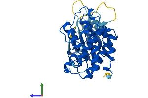 AlphaFold protein structure predicition of Human Recombinant CDK5 Protein, UniprotID Q00535 (CDK5 Protein (AA 1-292) (His tag))