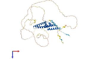 AlphaFold protein structure predicition of Mouse Recombinant Srfbp1 Protein, UniprotID Q9CZ91 (SRFBP1 Protein (AA 1-441) (His tag))