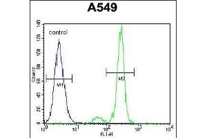 TNFRSF1A Antibody (N-term) (ABIN655208 and ABIN2844822) flow cytometric analysis of A549 cells (right histogram) compared to a negative control cell (left histogram). (TNFRSF1A antibody  (N-Term))