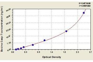 Typical standard curve (Caspase 7 ELISA Kit)