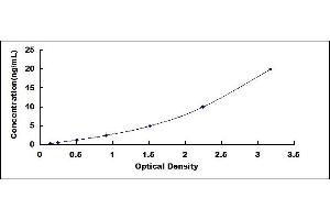 Tissue Factor Pathway Inhibitor 2 (TFPI2) ELISA Kit
