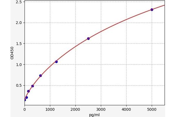 DDX42 ELISA Kit