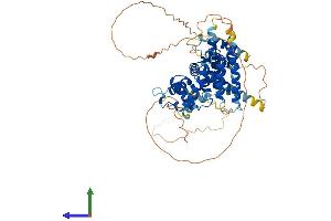 Protein Structure (PS) image for PARP1 Binding Protein (PARPBP) (AA 1-579) protein (His tag) (ABIN7550661)