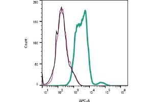 Cell surface detection of NaV1.