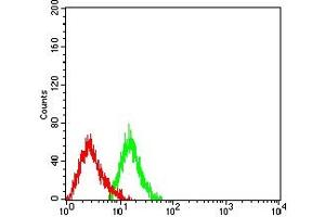 Flow cytometric analysis of HL-60 cells using CD232 mouse mAb (green) and negative control (red). (Plexin C1 antibody  (AA 35-234))