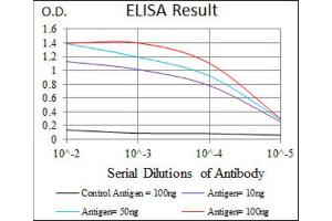 ELISA image for anti-Keratin 5 (KRT5) antibody (ABIN1845565) (Cytokeratin 5 antibody)