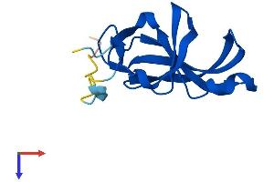 Protein Structure (PS) image for Yippee-Like 2 (YPEL2) (AA 1-119) protein (His tag) (ABIN7545512)