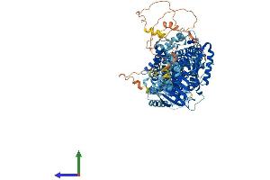 AlphaFold protein structure predicition of Human Recombinant SLC12A4 Protein, UniprotID Q9UP95 (SLC12A4 Protein (AA 1-1085) (His tag))