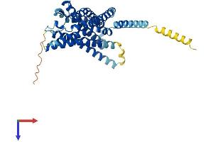 AlphaFold protein structure predicition of Mouse Recombinant Gpr183 Protein, UniprotID Q3U6B2 (GPR183 Protein (AA 1-357) (His tag))