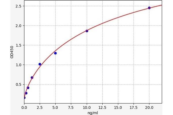 alpha 2 Antiplasmin ELISA Kit