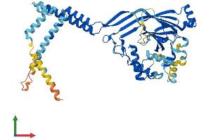 Protein Structure (PS) image for Amiloride-Sensitive Cation Channel 5, Intestinal (ACCN5) (AA 1-505) protein (His tag) (ABIN7552473)