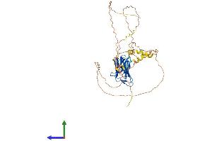 Protein Structure (PS) image for Intermediate Filament Tail Domain Containing 1 (IFLTD1) (AA 1-413) protein (His tag) (ABIN7560981)