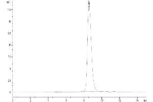 Size-exclusion chromatography-High Pressure Liquid Chromatography (SEC-HPLC) image for T Cell Immunoreceptor with Ig and ITIM Domains (TIGIT) (AA 22-141) protein (His tag) (ABIN7275728)