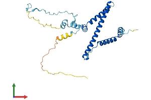 Protein Structure (PS) image for Ribosomal RNA Processing 36 Homolog (RRP36) (AA 1-259) protein (His tag) (ABIN7551539)
