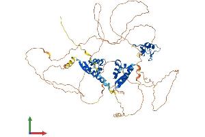 AlphaFold protein structure predicition of Mouse Recombinant Mex3c Protein, UniprotID Q05A36