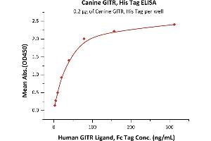 Immobilized Canine GITR, His Tag (ABIN6731277,ABIN6809886) at 2 μg/mL (100 μL/well) can bind Human GITR Ligand, Fc Tag (ABIN2181165,ABIN2181164) with a linear range of 2-40 ng/mL (QC tested). (TNFRSF18 Protein (AA 23-154) (His tag))