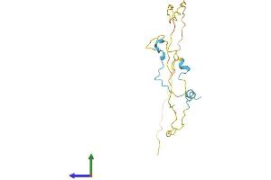 Protein Structure (PS) image for Coordinator of PRMT5, Differentiation Stimulator (COPRS) (AA 1-173) protein (His tag) (ABIN7560498)