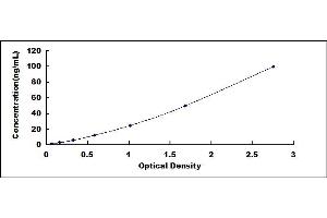 Typical standard curve (Myelin-Associated Glycoprotein Antibody (MAG Ab) ELISA Kit)
