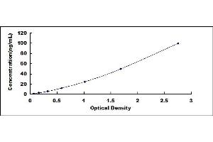 Typical standard curve (Anti Myelin Associated Glycoprotein Antibody (Anti MAG) ELISA Kit)