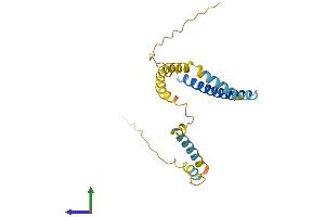 Protein Structure (PS) image for Tumor Protein D52-Like 1 (TPD52L1) (AA 1-204) protein (His tag) (ABIN7562420)