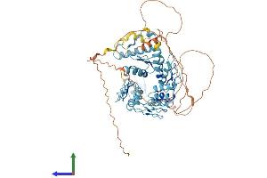 Protein Structure (PS) image for Zinc Finger Protein 613 (ZNF613) (AA 1-617) protein (His tag) (ABIN7545479)