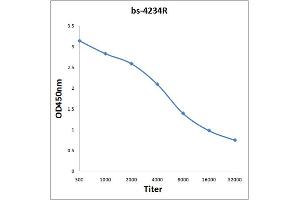 Antigen: 0. (ABAT antibody  (AA 151-250))