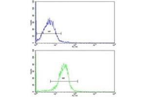 Flow cytometric (intracellular) analysis of WiDr cells using AADAC antibody (bottom histogram) compared to a negative control (top histogram). (AADAC antibody  (AA 273-300))
