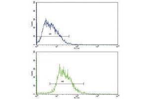 Flow cytometric analysis of HepG2 cells using SOX-9 antibody (bottom histogram) compared to a negative control (top histogram). (SOX9 antibody  (AA 231-260))