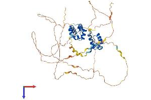 One Cut Homeobox 3 (ONECUT3) (AA 1-494) protein (His tag)