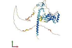 Protein Structure (PS) image for Ras Association (RalGDS/AF-6) Domain Family Member 5 (RASSF5) (AA 1-413) protein (His tag) (ABIN7557438)