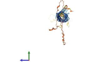 AlphaFold protein structure predicition of Human Recombinant TMEM255B Protein, UniprotID Q8WV15