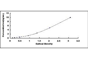 Typical standard curve (SCAF11 ELISA Kit)