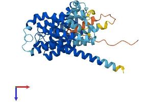 Ovarian Cancer Overexpressed 1 (OVCOV1) (AA 1-364) protein (His tag)