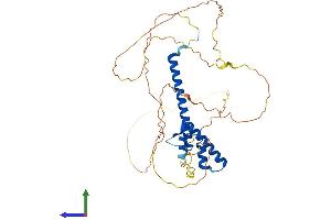 AlphaFold protein structure predicition of Mouse Recombinant Neurod2 Protein, UniprotID Q62414