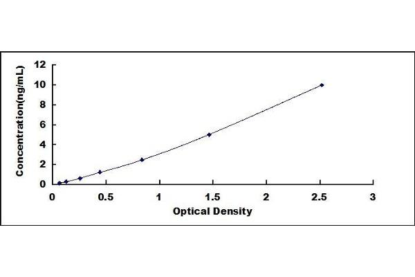 CD70 ELISA Kit