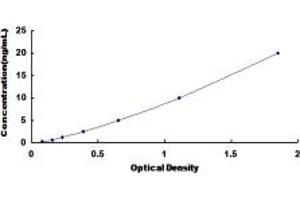 Typical standard curve (OSBPL8 ELISA Kit)