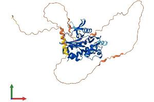 Protein Structure (PS) image for Inositol-Trisphosphate 3-Kinase A (ITPKA) (AA 1-461) protein (His tag) (ABIN7548534)