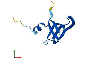 AlphaFold protein structure predicition of Mouse Recombinant Lsm6 Protein, UniprotID P62313