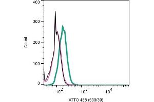 Cell surface detection of CXCR2 in live intact human  promyelocytic leukemia cell line: + Rabbit IgG Isotype Control-ATTO 488 (ABIN7582041).