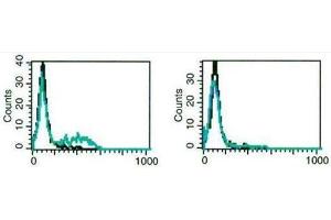 Flow Cytometry (FACS) image for anti-Interleukin 17A (IL17A) antibody (ABIN1107807) (Interleukin 17a antibody)