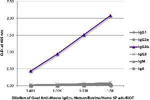 ELISA plate was coated with purified mouse IgG1, IgG2a, IgG2b, IgG3, IgM, and IgA.