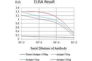 Black line: Control Antigen (100 ng),Purple line: Antigen (10 ng), Blue line: Antigen (50 ng), Red line:Antigen (100 ng) (KIR3DL1 antibody  (AA 206-340))