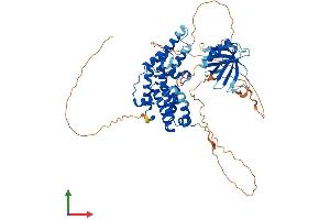 AlphaFold protein structure predicition of Human Recombinant RALGPS2 Protein, UniprotID Q86X27