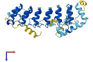 AlphaFold protein structure predicition of Mouse Recombinant Asb12 Protein, UniprotID Q9D738