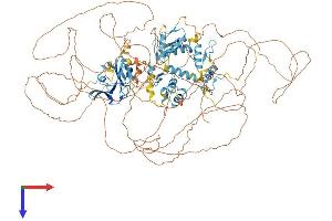 AlphaFold protein structure predicition of Human Recombinant ZFPM2 Protein, UniprotID Q8WW38 (ZFPM2 Protein (AA 1-1151) (His tag))