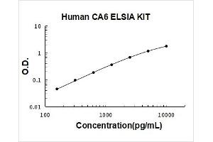 Carbonic Anhydrase VI (CA6) ELISA Kit